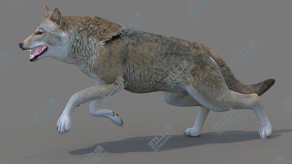 images/goods_img/20210312/Red Wolf Rigged 3D model/3.jpg